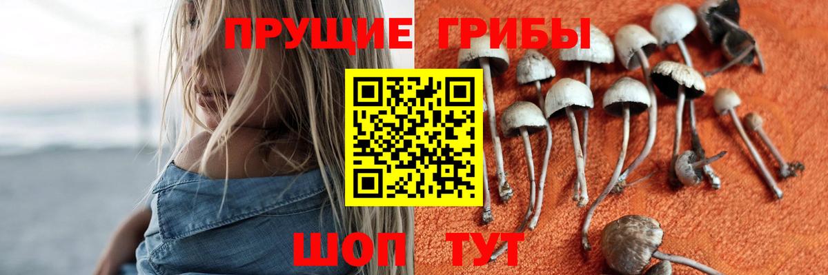 Псилоцибиновые грибы Psilocybe  Галлюциногенные грибы мухоморы  Вход с VPN  Сергиев Посад 